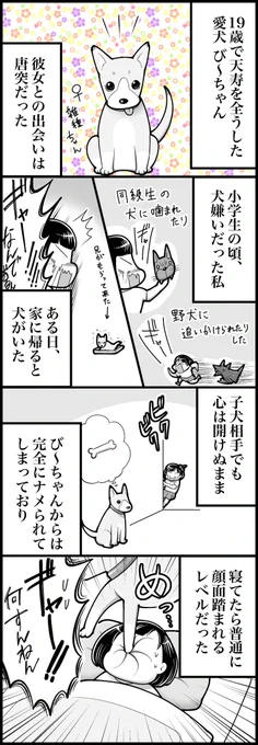 愛犬び〜ちゃんの話(計3枚です) 