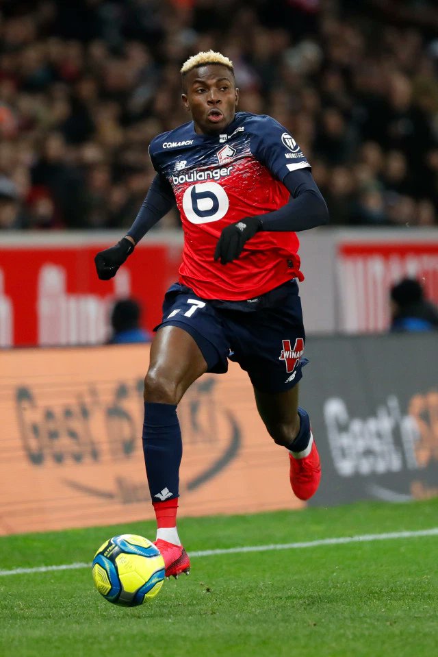 SSE_NGA's tweet photo. Lille have received an €85 million bid (bonus inclusive) for Victor Osimhen from an unnamed club.

(📝 @telefoot_TF1) https://t.co/dj2tNvlOan