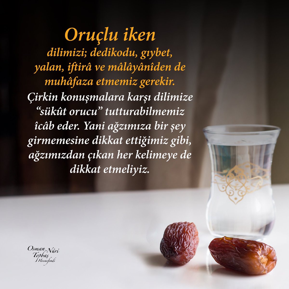 Gildirak orqasida yalangoch mushuklar