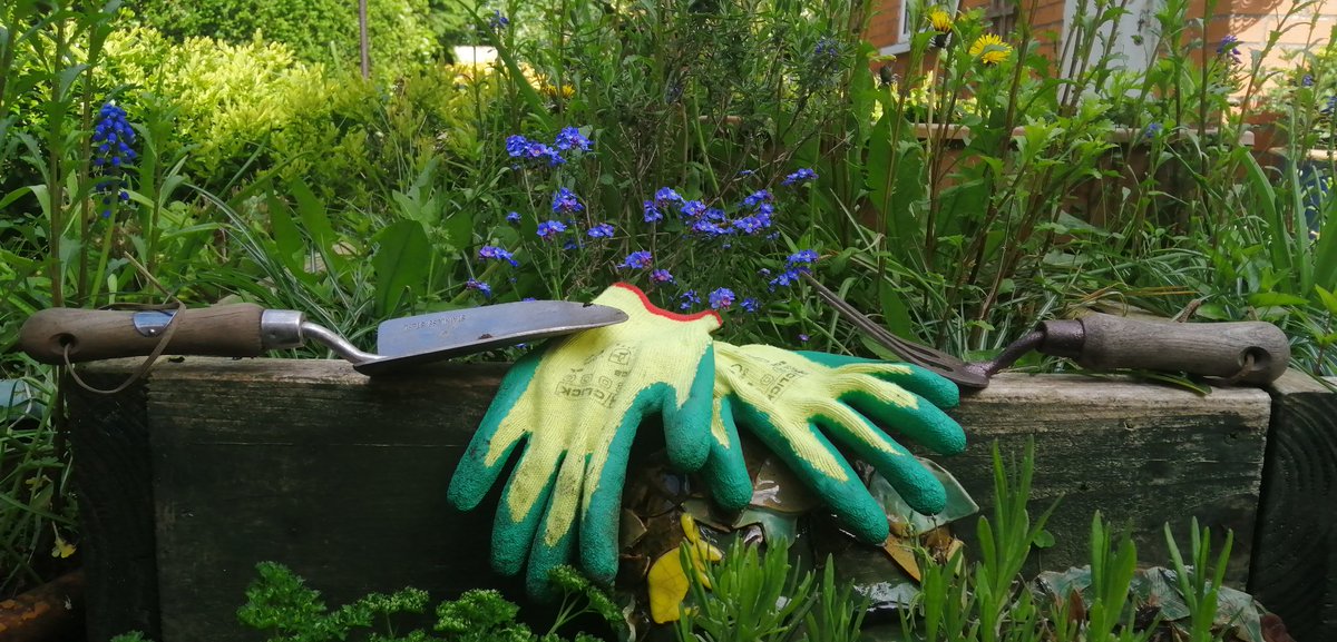 TCV_NI's tweet photo. It's #worldnakedgardeningday
Don't forget to wear your gloves 😉🐸🌻🌼🌱💚
#NationalGardeningWeek https://t.co/N3FWs0tHcA