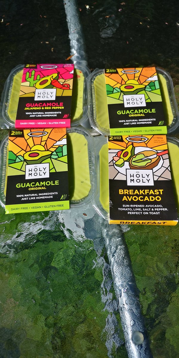 sarahpearson80's tweet photo. That's morning &amp; snacks &amp; lunch &amp; dinner sorted cheers @HolyMolyDips #avolover https://t.co/wuDQenqAPD