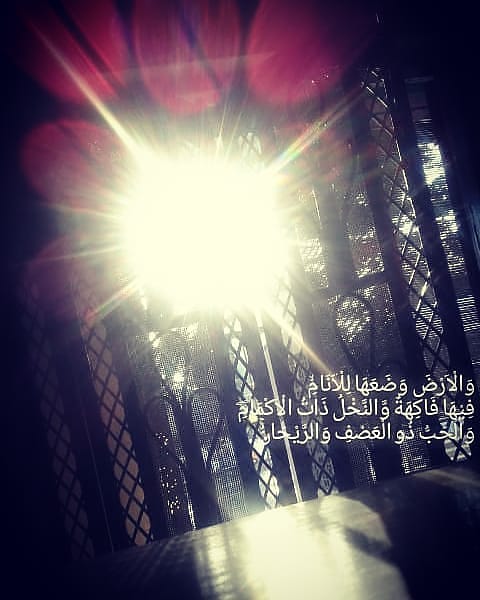 ken_shimamora's tweet photo. وَالْاَرْضَ وَضَعَهَا لِلْاَنَامِۙ
فِيْهَا فَاكِهَةٌ وَّالنَّخْلُ ذَاتُ الْاَكْمَامِۖ
وَالْحَبُّ ذُو الْعَصْفِ وَالرَّيْحَانُۚ https://t.co/BWqHruc59H