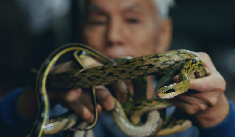 nephismith tweet media