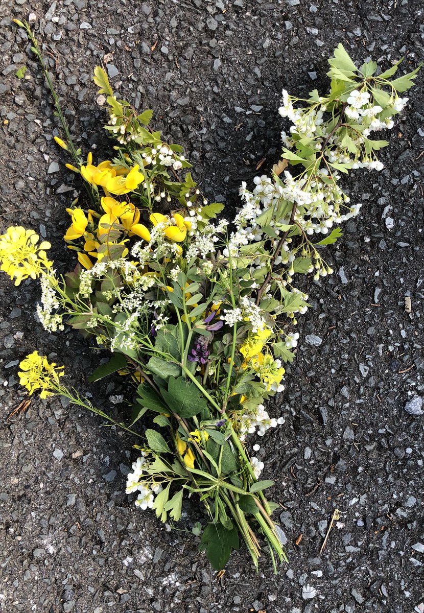 RosemaryKeating's tweet photo. Morning in urban Dublin makes me want to find rural scenes on my walk, to take me back to my #galway roots..... I did find them 😄#lockdownireland more than #100daysofwalking still thanks @ciarakellydoc for encouraging walks @LunchtimeLiveNT #luttrellstown https://t.co/Jkv8HsxZ6o