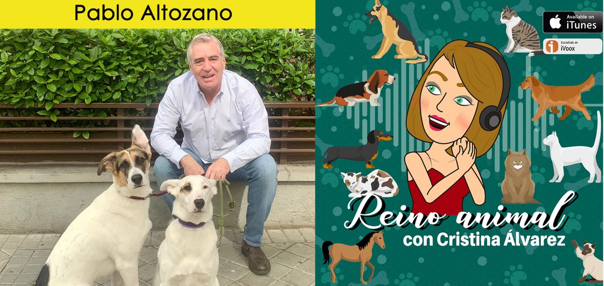 crisalvap's tweet image. Mañana domingo en #ReinoAnimal #podcast nos acompaña Pablo Altozano @paltozano Comisionado de Gobierno de Bienestar Animal en la @ComunidadMadrid @palomamartinm @medioambientecm
Suscríbete a nuestro canal y no te pierdas ningún programa ivoox.com/podcast-reino-… #animales #mascotas