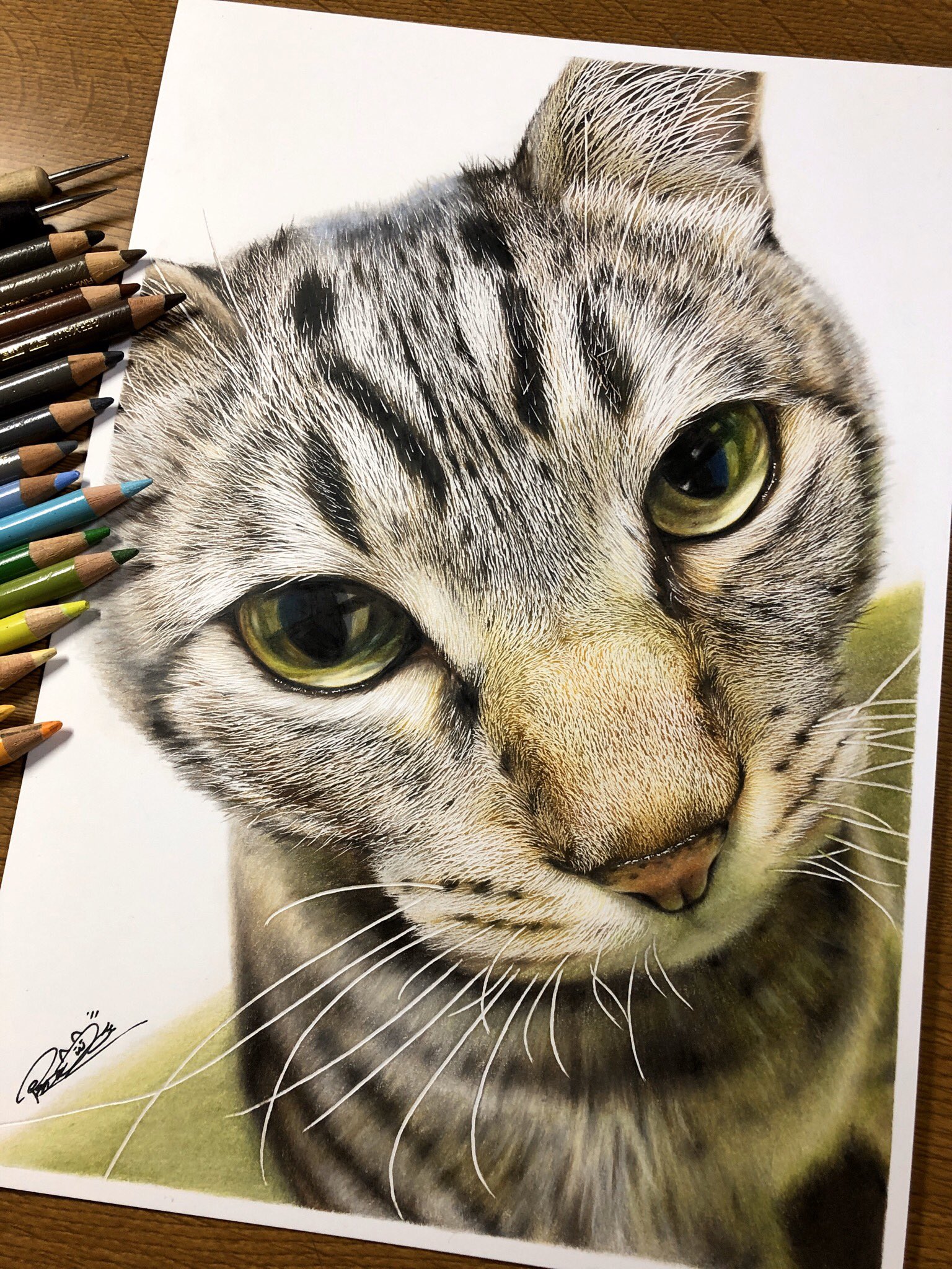 音海はる 色鉛筆で猫ちゃん描きました W T Co Qws0628lh9 Twitter