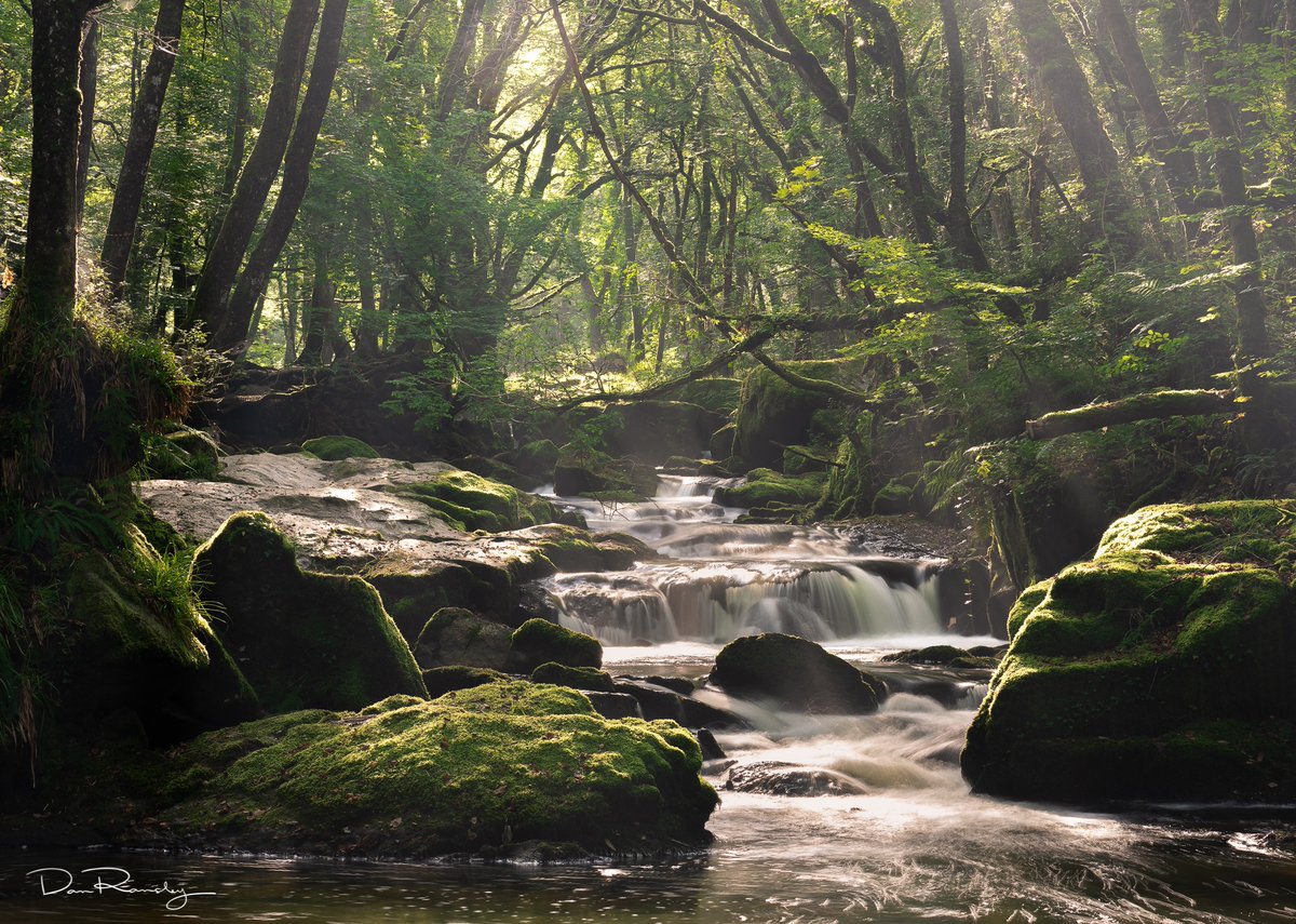 DanRansley's tweet photo. Cornwall Tour:  Day 5 - Golitha Falls
⁣https://t.co/al6ygmz36q
LIKE &amp; RT to invite everyone else along!

Enjoying the tour?  You can buy me a drink at any stop along the way by visiting https://t.co/F6ihBHasDS

#StayHomeSaveLives #IsolationInspiration #VirtualCornwall #Kernow https://t.co/im7DY9YYZJ