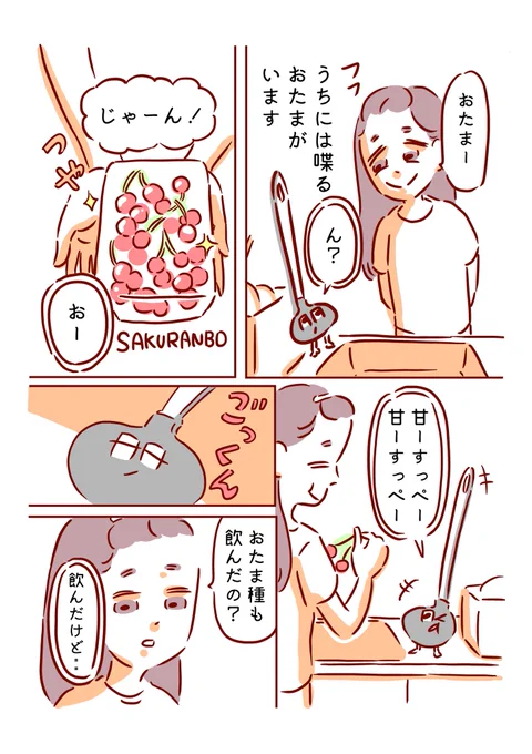 おたまと一緒に ⑫ さくらんぼと嘘? 