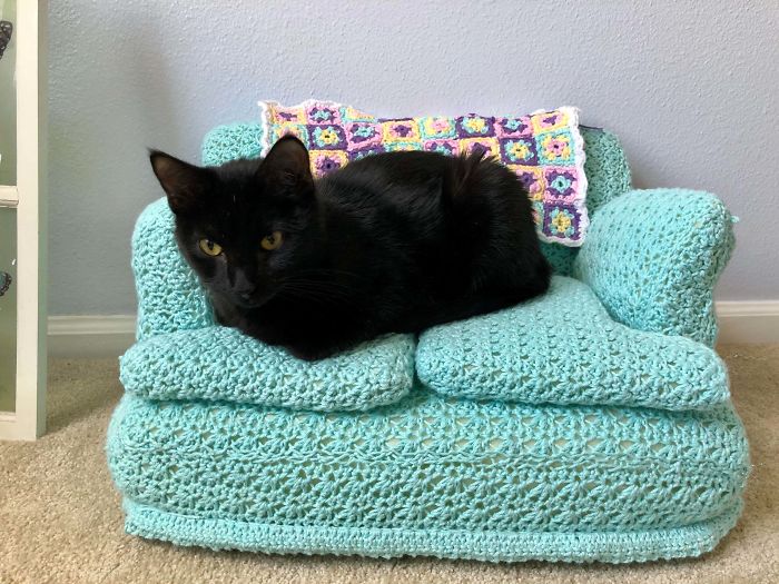 womensart1's tweet photo. People are using their free time due to lockdown to crochet mini sofas for their cats #LockdownArt #Caturday #CoronaCrafting https://t.co/ttGpHRNYFV