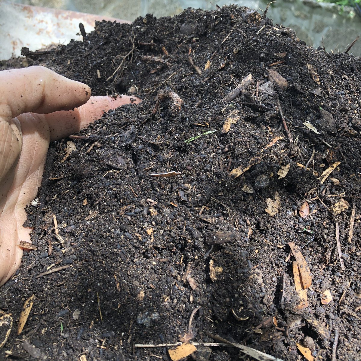 naturalisimoWeb's tweet image. Así quedan nuestros restos vegetales después de pasar por la #compostera. Se reencarnarán en tomates. Qué gusto ! #ManzanaresElReal