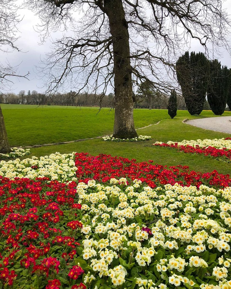 Fingalcoco's tweet photo. Hope everyone is having a lovely Bank Holiday weekend & #stayingsafe 🌞🏞
If you're looking for something to do pop over to our facebook page to take part in our #maydayfun activities or take our Fingal photo quiz to see how well you know Fingal.
https://t.co/UMh2TtZxG9 https://t.co/c4zhsLrLi4
