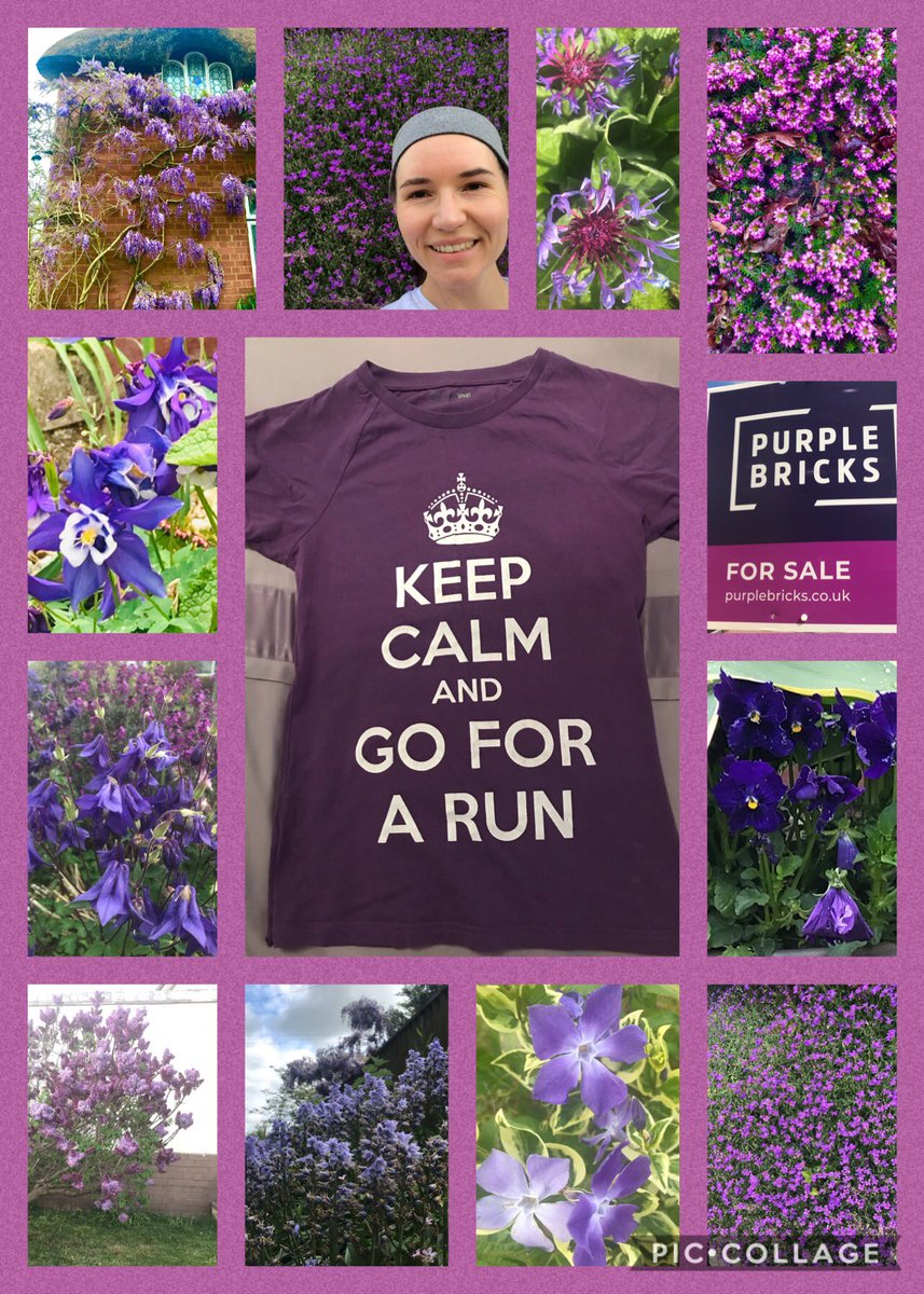 LER9879's tweet image. 🏃‍♀️ Rainbow Run. 9 miles for PURPLE 💜 Ironically, the only purple t-shirt I have which preaches as me (and everyone) to run is 100% cotton and therefore 100% not suitable for running in. So, in full disclosure, I ran in white but found some purple things (harder than you think!)