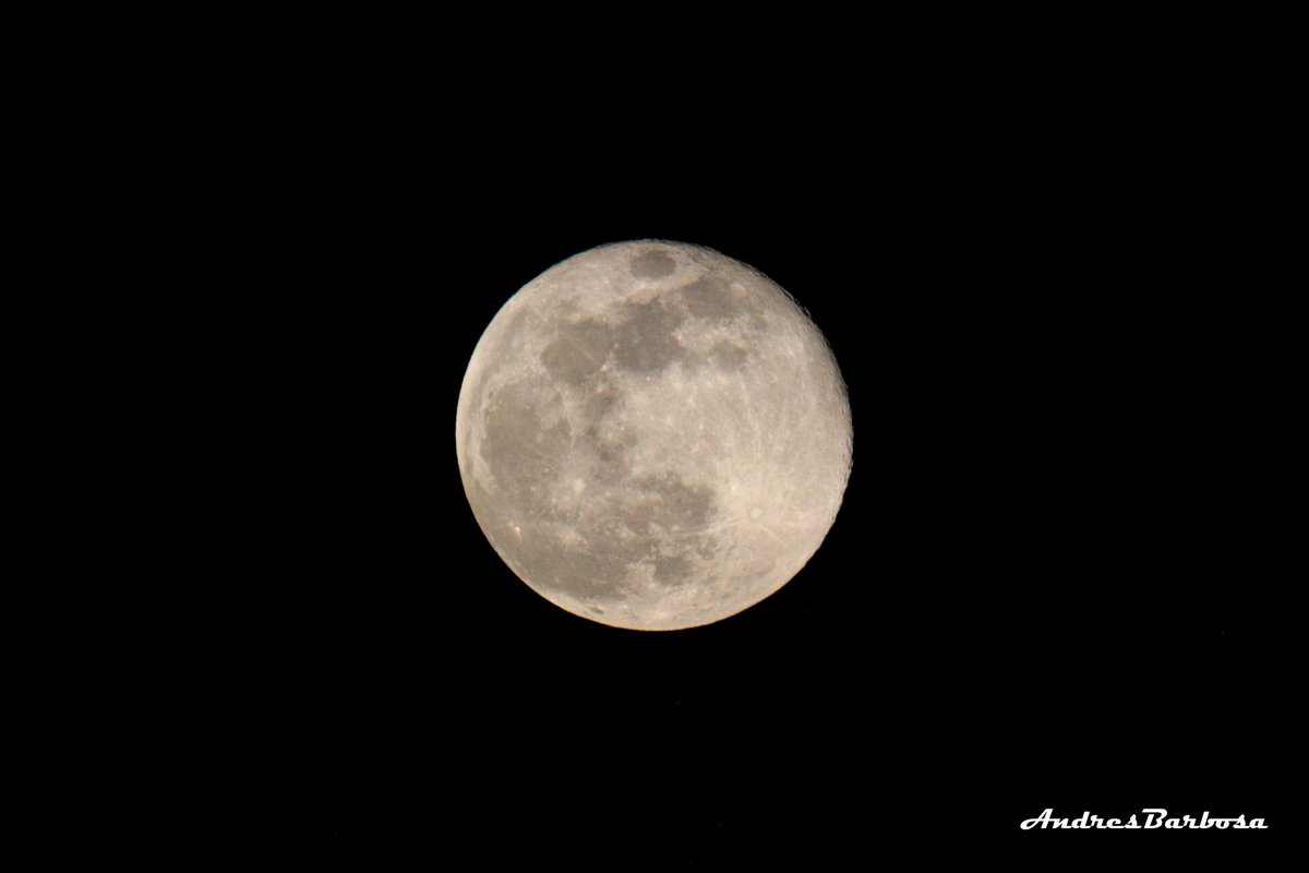 Un pequeño hilo sobre percepción y entendimiento de la situación actual. Creo que mucho de lo que ha ocurrido y esta ocurriendo en relación a la COVID-19 y a su comprensión por parte de la ciudadania y de nuestros gobernantes es la falta de una educación científica básica.