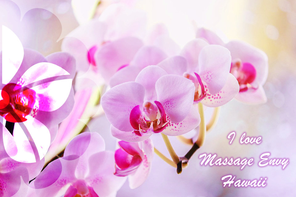 MassageEnvyHI's tweet photo. You are on our minds during this time, can’t wait to see you soon ❤️💪💆‍♀️😍🌴🌺 #health #wellness #massageenvyhi #hawaii #hawaiilove  #livealoha #alohaliving #living808 #beauty #wellness #massagetherapy #skin #skincare #aloha #ohana https://t.co/JTJ3EtHAkE