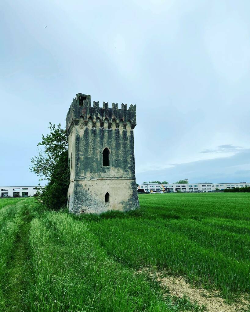 Instagramers Pisa tweet media