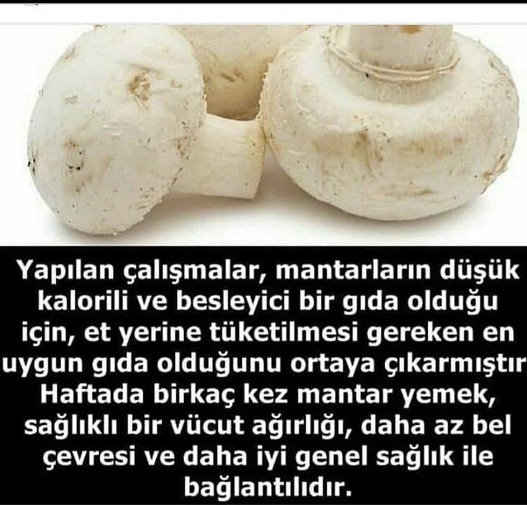 ✅Mantarların sağlığa faydaları arasında kilo kaybı, ✅yüksek kolesterol seviyelerinden kurtulma ve diyabet sayılabilir. ✅Mantarlar zengin bir lif kaynağıdır. ✅Ayrıca mantarda bulunan selenyum, C vitamini ve D vitamini bağışıklık sisteminin gücünü artırmada yardımcı olur.#COVID