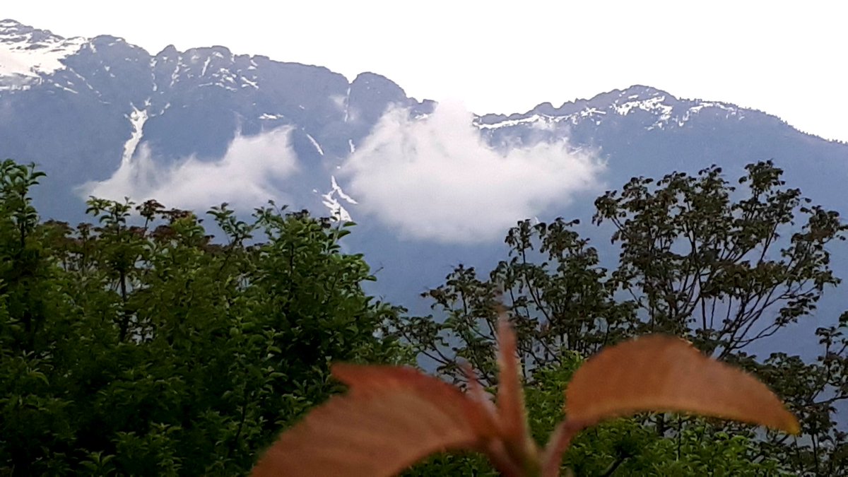 RealBadshahKhan's tweet photo. #lockdown2withoutplan and this view from my window. https://t.co/Uy7MIMjtJw
