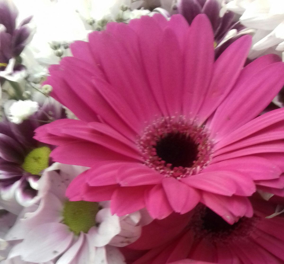 Sharonmmorton's tweet photo. A good life is when you assume nothing, do more, need less, smile often, dream big, laugh a lot, and realize how blessed you are. 
Happy blessed weekend to friends and all 
🌷🌸🌹🌷🌸🌹🌷🌸🌹🌷🌸 https://t.co/uNVGtfTpAV