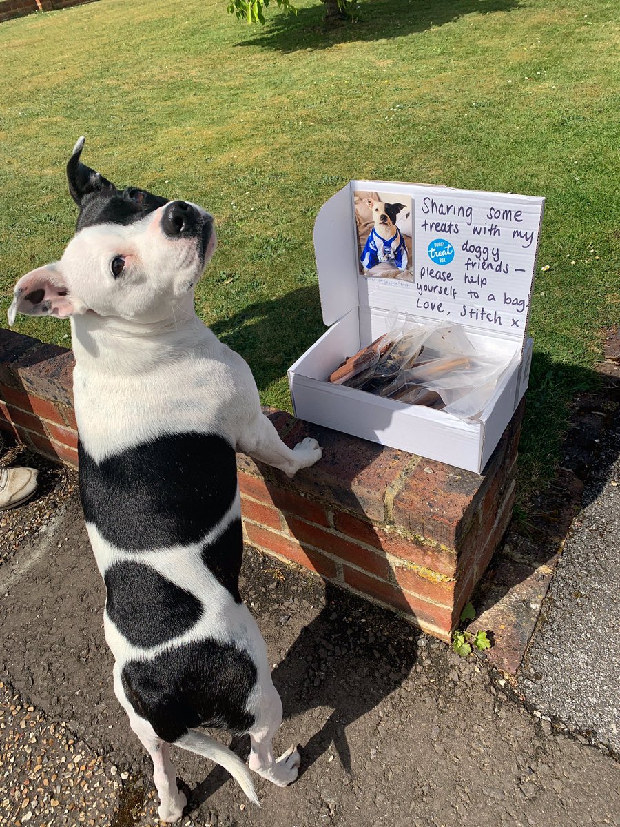 StaffieStitch's tweet photo. I set up a community larder with dog treats for my fur friends to help themselves when they walk past #StaffieSaturday https://t.co/RKKyzx5vpN