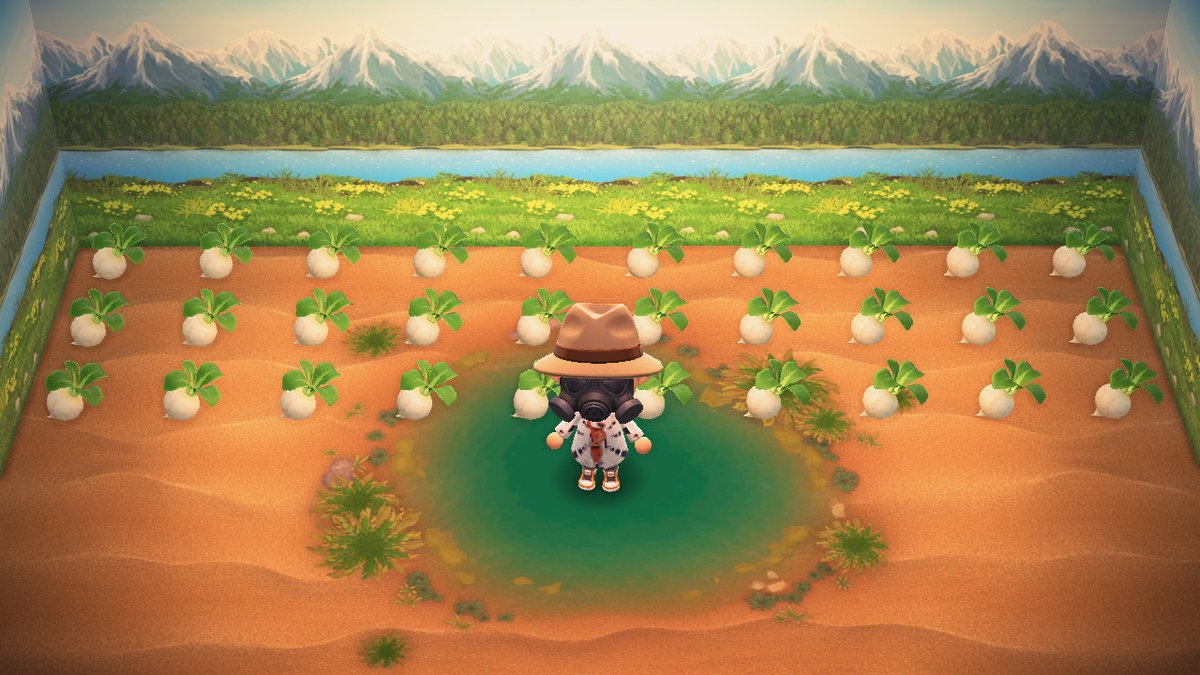 please help me out with selling my #turnips today #AnimalCrossing #ACNH #NintendoSwitch #turnip