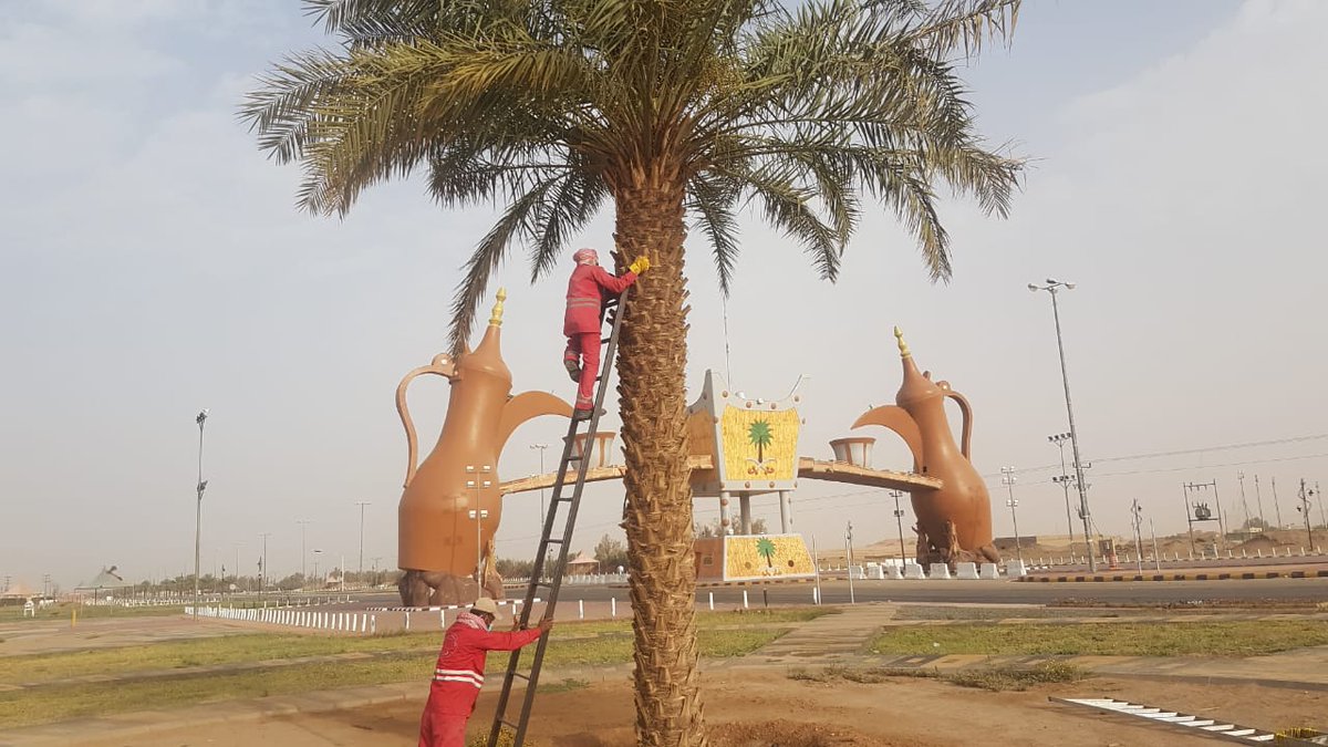 Bldiah1's tweet photo. صور من أعمال وحدة الزراعة و التجميل بالبلدية https://t.co/xI1hpoSXrE