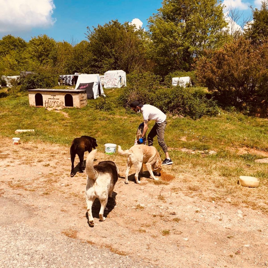 beylerbeyililer's tweet photo. daha önceden belirlediğimiz konumlarda kendi imkanlarımızla ve destekçilerimizin yardımlarıyla topladığımız bütçemizden aldığımız mamalarımızı hayvan dostlarımıza ulaştırdık.
#Beylerbeyi
#Beylerbeyililer
#birkapmutluluk https://t.co/mhR1TPDHdx