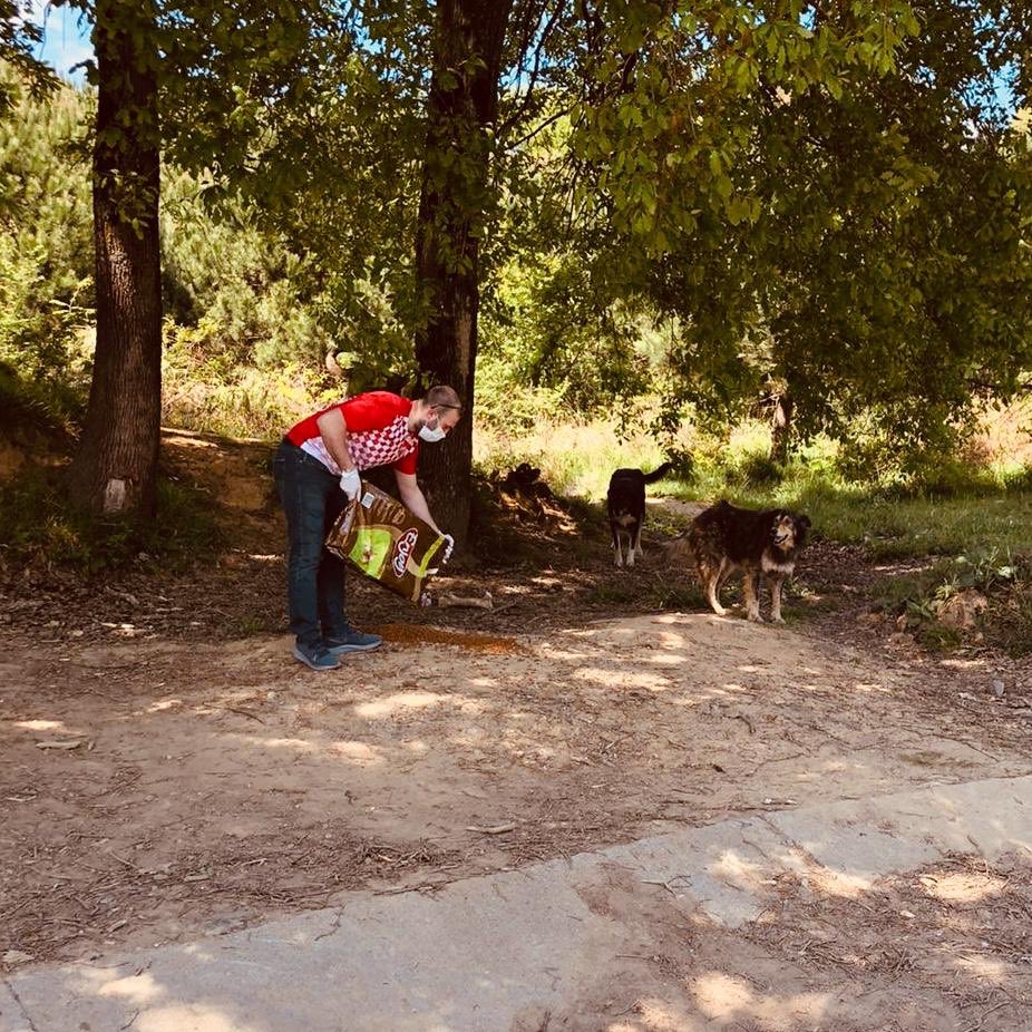 beylerbeyililer's tweet photo. daha önceden belirlediğimiz konumlarda kendi imkanlarımızla ve destekçilerimizin yardımlarıyla topladığımız bütçemizden aldığımız mamalarımızı hayvan dostlarımıza ulaştırdık.
#Beylerbeyi
#Beylerbeyililer
#birkapmutluluk https://t.co/mhR1TPDHdx