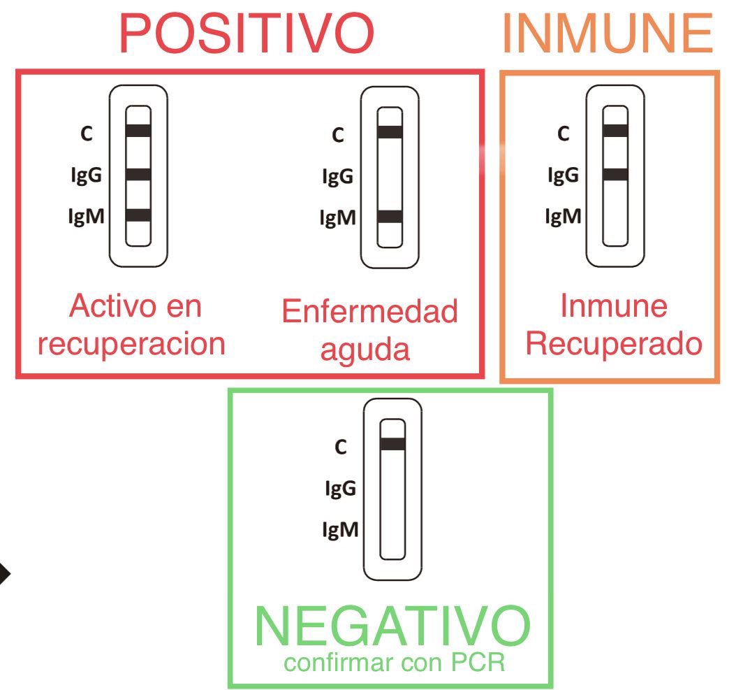 javArchitect's tweet photo. @GVAsanitat Os he hecho un esquema de cómo funcionan los test de anticuerpos. Aquí veis que los positivos son personas infectadas activas. Un resultado negativo se confirma con PCR. https://t.co/RqLofMKnGx