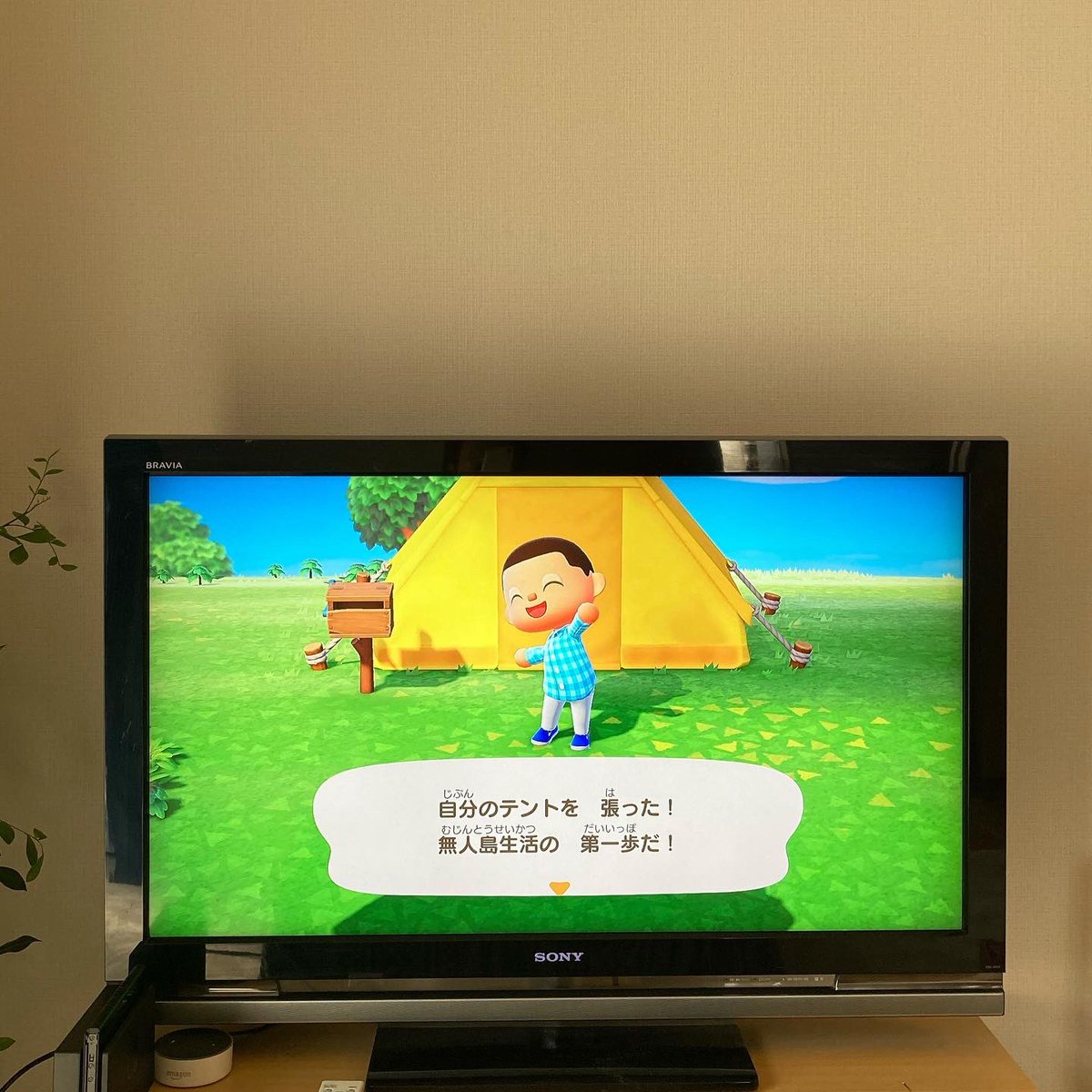強引にアウトドアしていく🏕

#今はおうちでキャンプしよう 
#あつまれどうぶつの森 
#animalcrossing