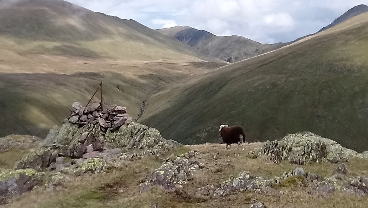 Exactly a year ago #virtualwalk from Steel Fell towards High Raise we think but memory not being as good as it was happy to be corrected if anyone knows any different!

#LakeDistrict #Cumbria