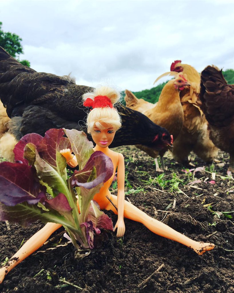 costellowv's tweet photo. Once again this year, our farm intern is celebrating #worldnakedgardeningday on her own. https://t.co/6ZfxJik63Y