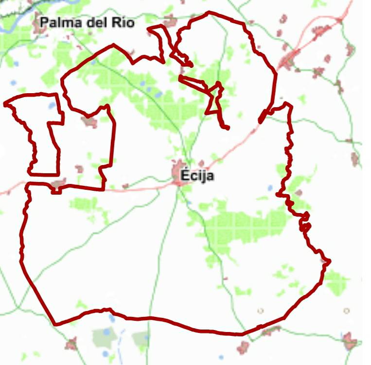 Ecija-Sevilla tweet media