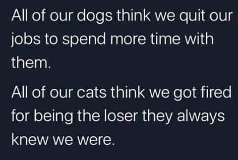 How well are we communicating the sudden change in our schedules?
#phdchat
#nzlockdown
#AcademicTwitter