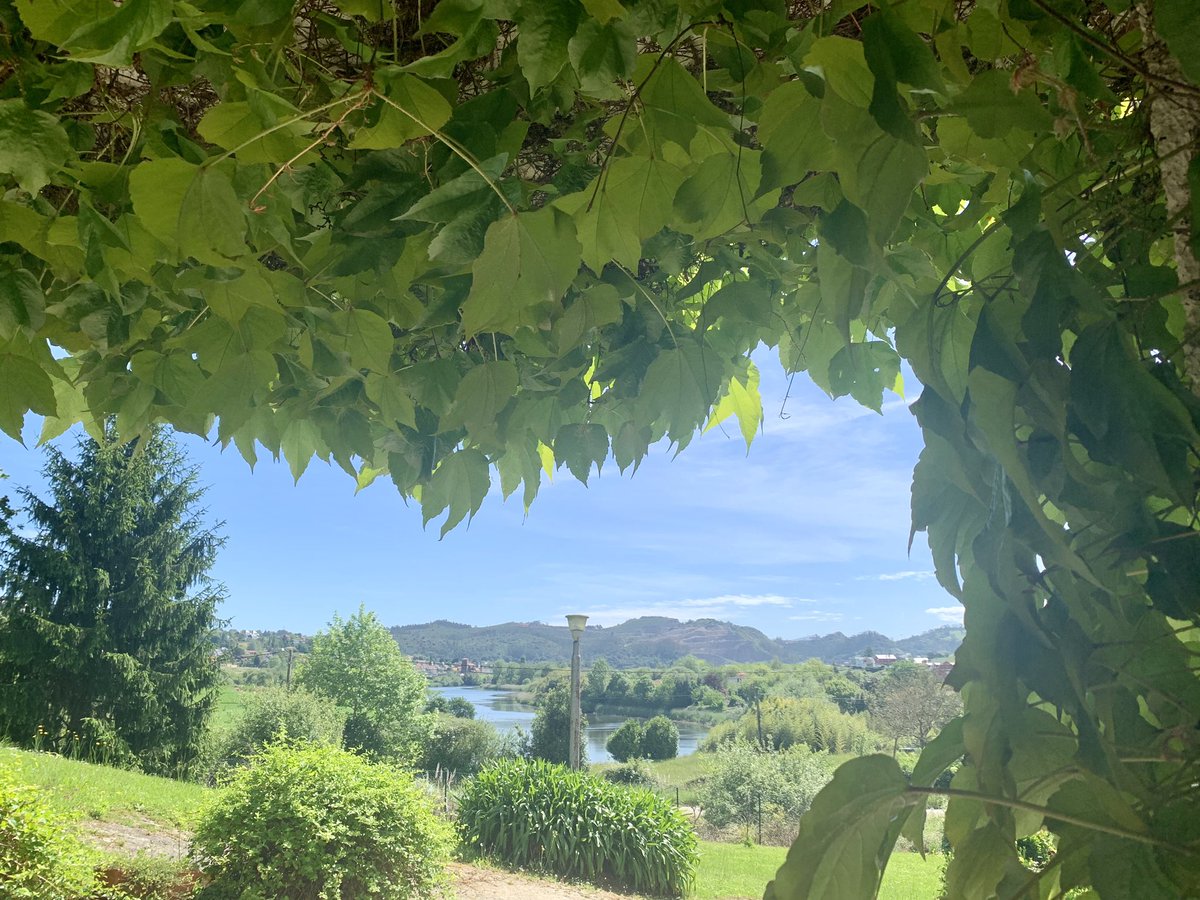 marselinouu's tweet photo. Siempre lo digo pero mi abuela tiene las mejores vistas de España https://t.co/im6reK3vlv