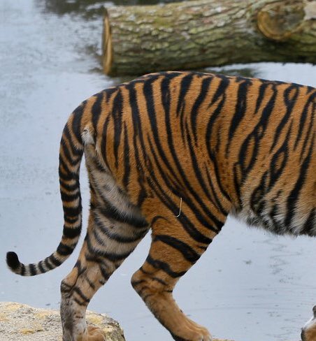 Number10cat's tweet photo. Did it work? https://t.co/11zISi9kTV