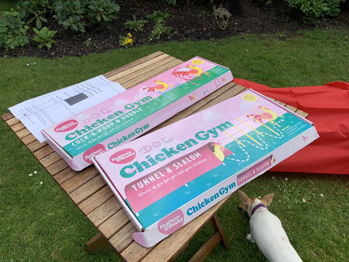 SusanneSclarke's tweet photo. Puppies want to stay in shape so of course setting up a puppy gym - adapting a #chickengym. Anyone got vids of chickens using the gym?? I would LOVE to see this. https://t.co/ugOxihnCjt