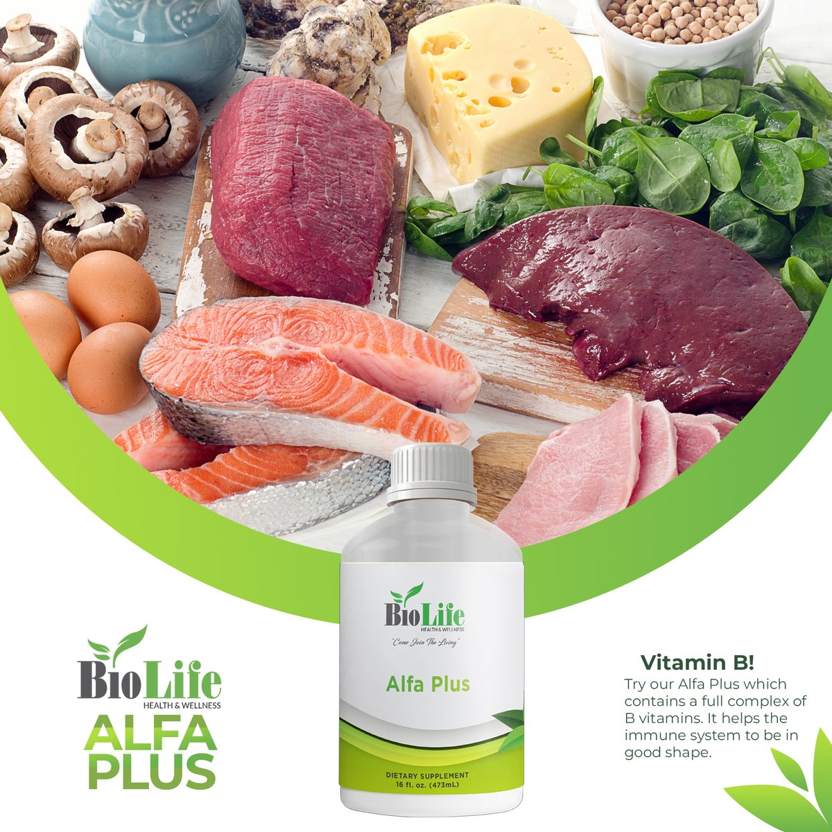 biolifenow's tweet photo. To keep your body in good health, vitamin B is very important. Try our Alfa Plus which contains a full complex of B vitamins. It helps the immune system to be in good shape. Buy yours now! #alfaplus #vitaminb #healthbenefits #supplements #biolife #healthy #health #healthcare https://t.co/IyT0pybFmc