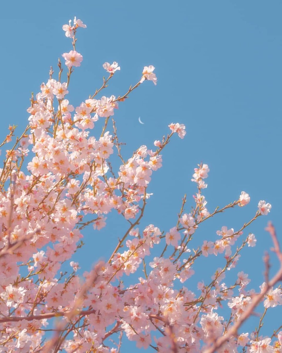youminimalism's tweet photo. https://t.co/RCQupLcTIU