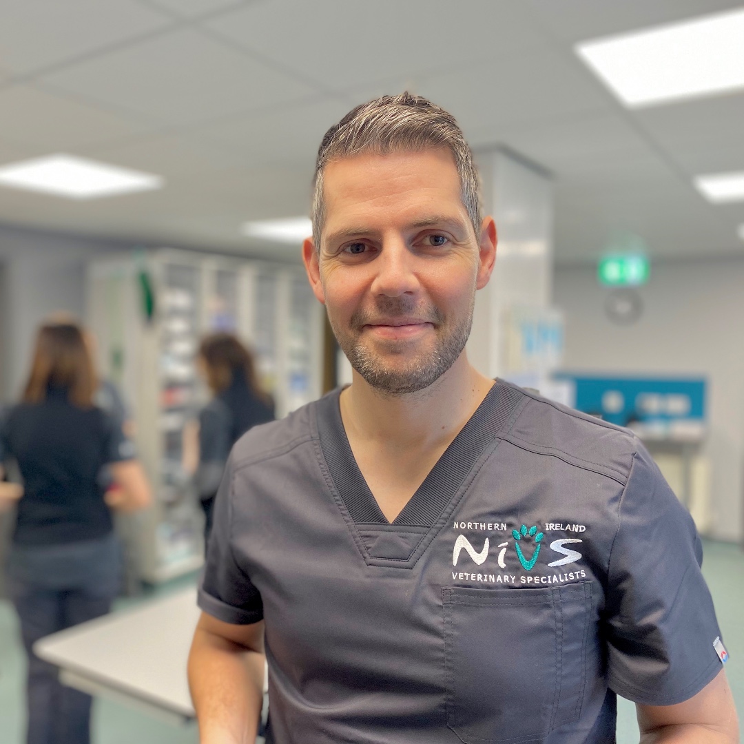 NiVetSpecialist's tweet photo. Next week our very own Aidan McAlinden, Specialist in Surgery at Northern Ireland Veterinary Specialists, is hosting a FREE open access webinar 

“Does GDV get your stomach in a twist?”
11am Wednesday 6th May 2020.

To register visit https://t.co/VOPsmAREGB
#FreeCPD #Surgery #GDV https://t.co/qQCpdjJZYp