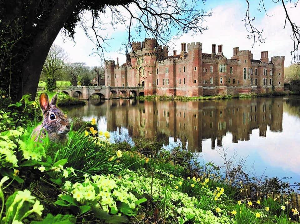 CWM_YSXW's tweet photo. #VenueOfTheDay: @herstmoncastle reflects a variety of styles from the Elizabethan Room with its stunning 16th-century staircase, to the more contemporary Conference Room with statement fireplace and beautiful views over the castle moat. https://t.co/3e7nPxI6ul https://t.co/4MjsFDRv2x