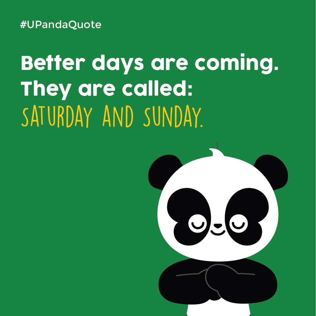 APu_Upanda's tweet photo. Have faith. The better days are coming. π
https://t.co/rmuiYfMdZZβ¨β¨
#UpandaQuote #BeTogetherBeBetter #weekendmood #saturdayvibes #funday https://t.co/7JzMa3zSFX