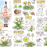 お家の周りにも咲いてるかも？イラスト付きで眺めるだけでも楽しめる「身近な花図鑑」
