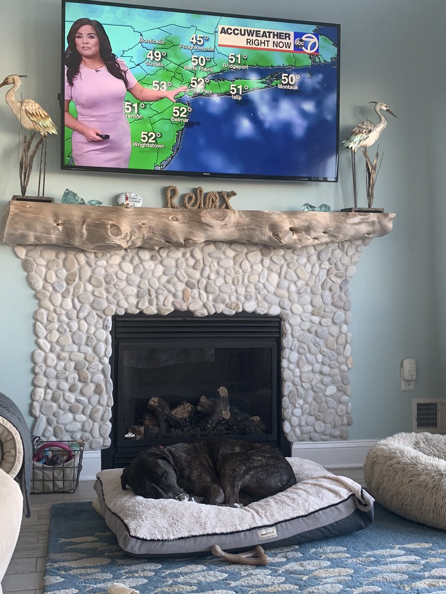 Mike Melfi tweet media