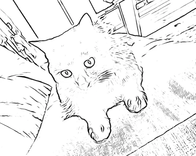 塗り絵が思っていた以上に反応あったので最近面白そうって思った塗り絵アプリもご紹介。
撮影した写真が塗り絵にできるColourscapeっていうアプリ。
黒猫さまもちゃんと線画抽出してくれた🐱これはぜったいたのしい。。。 