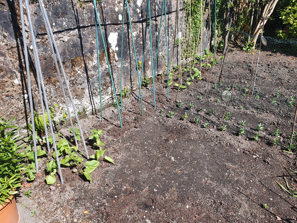 Leigh Sparks tweet media