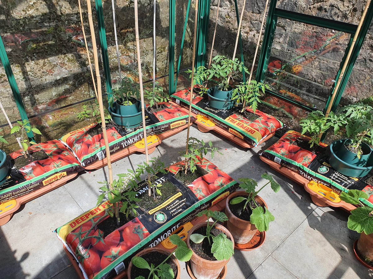 Leigh Sparks tweet media