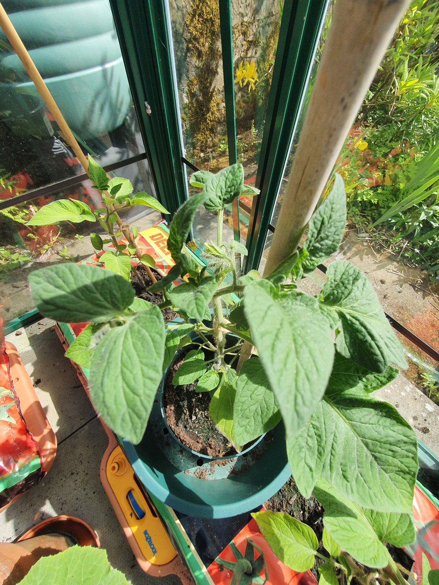 Leigh Sparks tweet media