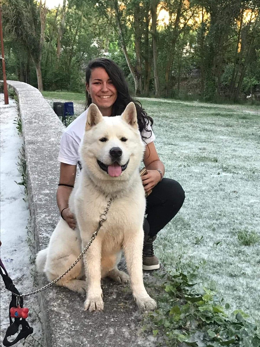 MiriamRuiz_1's tweet photo. Mi perro no es mi excusa para salir de casa durante la cuarentena; mi perro ha sido, es y seguirá siendo mi amigo, mi compañero y mi mayor suerte desde mucho antes de todo esto y hasta que la muerte nos separe. https://t.co/3cblqm3dXY