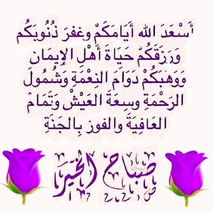 عزو ناصر (@uuedjb0ik22umow) on Twitter photo 