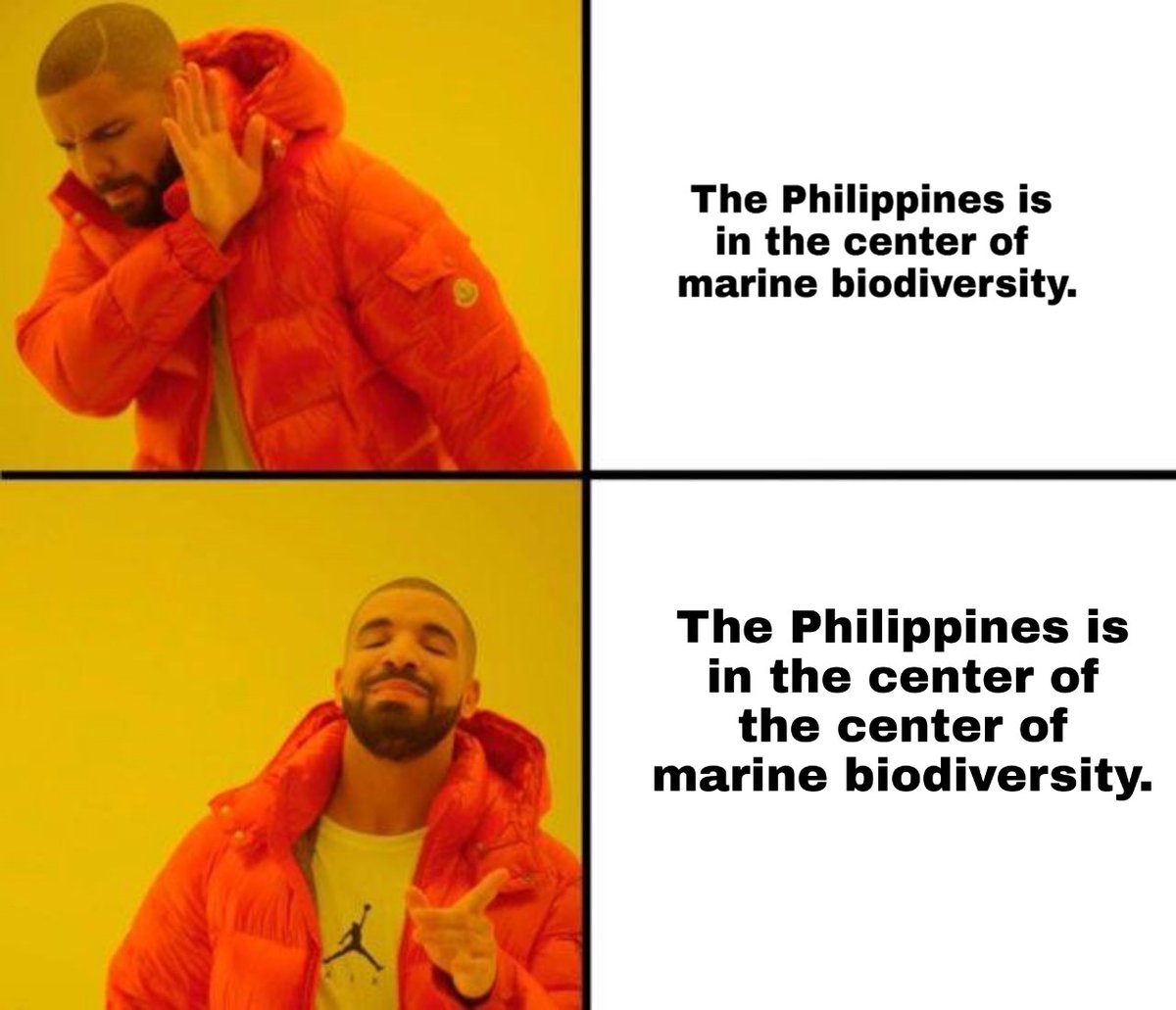 Happy Ocean's Month! Here's a marine science meme I am proud of: #sciencechatph #oceansmonth